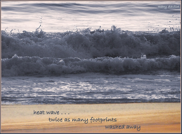'heat wave... / twice as many footprints / washed away' by Mary Davila