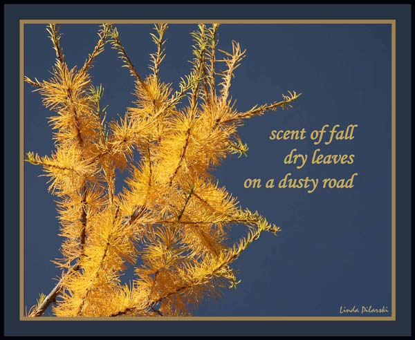 'scent of fall / dry leaves /on a dusty road' by Linda M. Pilarski