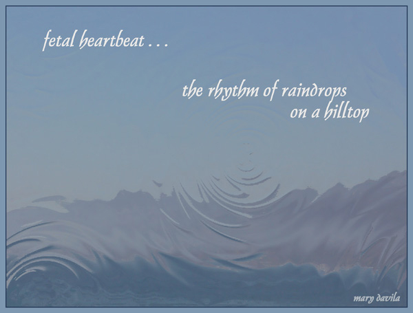 'fetal heartbeat... / the rhythm of raindrops  / on a hilltop' by Mary Davila