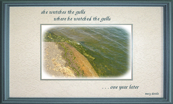 'she watches the gulls / where he watched the gulls / ...one year later" by Mary Davila