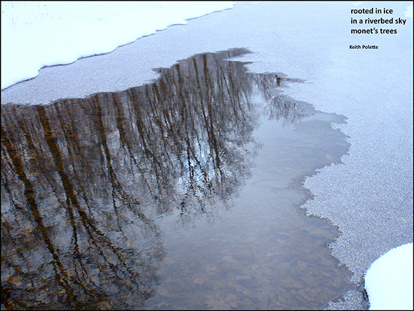 rooted in ice / in a riverbed sky / monet's trees' by Keith Polette