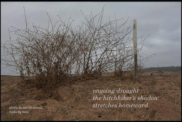 "ongoing drought... / the hitchhiker's shadow / stretches homeward' by Nika. Art by Jim McKinnis
