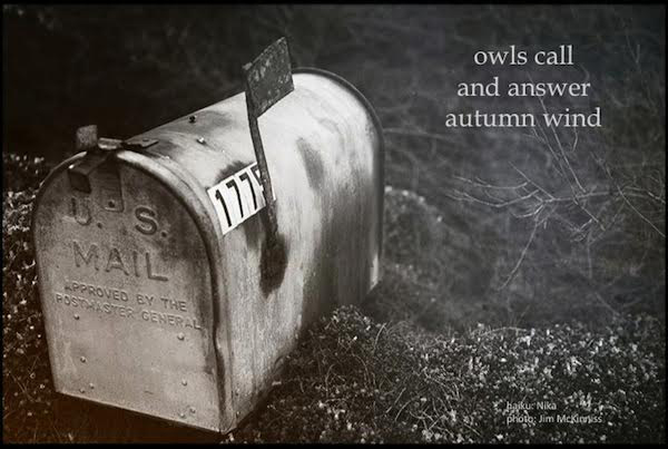 "owls call / and answer / autumn wind' by Nika. Artby Jim McKinnis