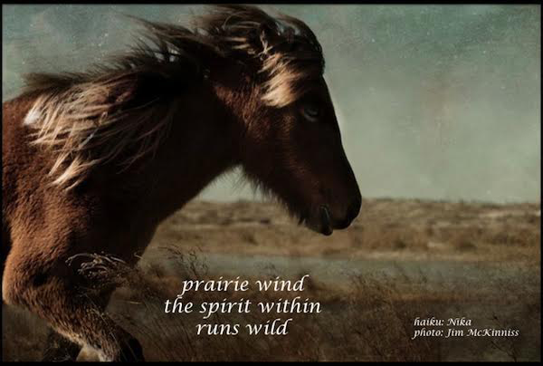 'prairie wind / the spirit within / runs wild' by Nika. Artby Jim McKinnis.