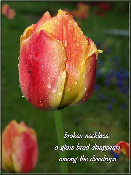 'broken necklace / a glass bead disappears / among the dewdrops' by Jacek Margolak