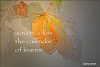 'autumn colors / the calendar / of leaves' by Kathy Cotton