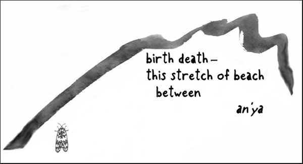 'birth death— / this stretch of beach / between' by an'ya