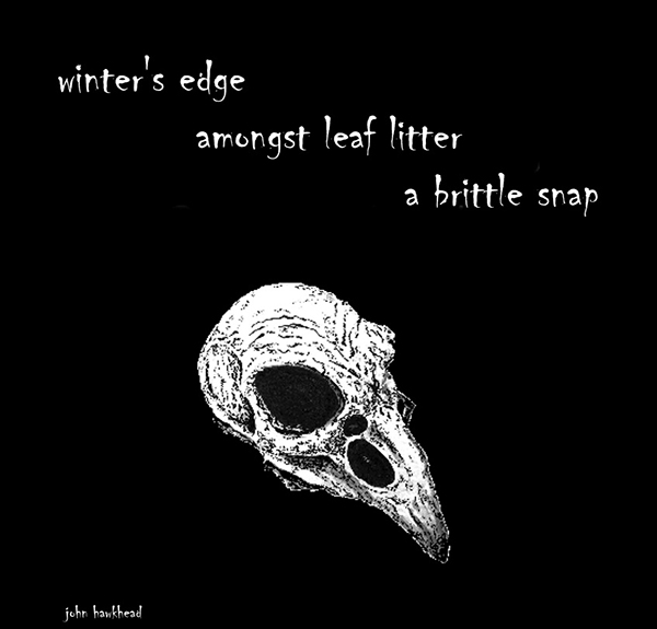 "winter's edge / amongst leaf litter / a brittle snap' by John Hawkhead