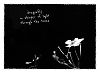 'dragonfly / a whisper of light / through the trees' by Barbara Kaufmann