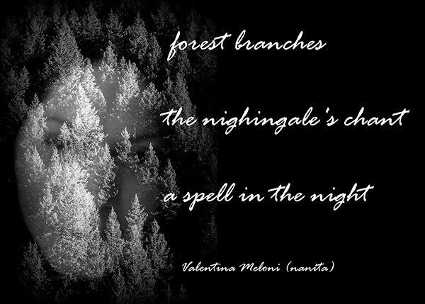 'forest branches / the nightingale's chant / a spell in the night' by Valentina Meloni