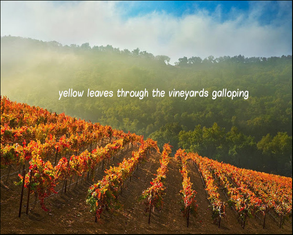 'yellow leaves through the vineyards galloping' by Pere Ristecki