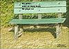 'dry grass /  under an empty bench / the ginger cat' by Hifsa Ashraf