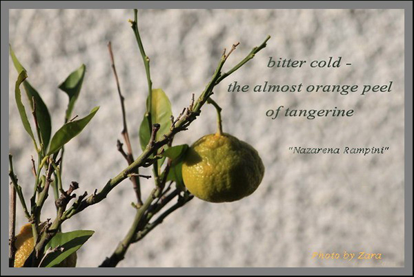'bitter cold / the almost orange peel / of tangerine' by Nazarena Rampini