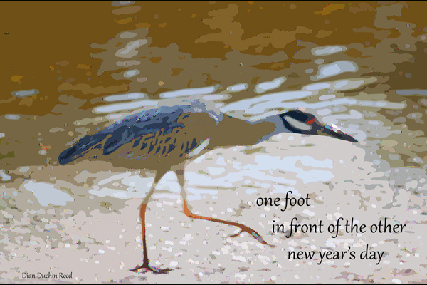 'one foot /  in front of the other /new year's day' by Dian Duchin Reed