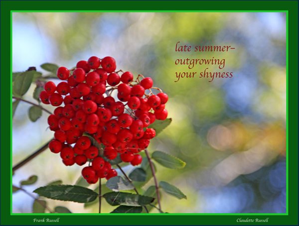 'late summer  outgrowing / your shyness' by Claudette and Frank Russell