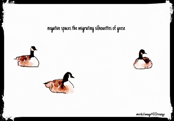 'negative spaces the migrating silhouettes of geese' by Debbie Strange.  Haiku first published in Blithe Spirit 27.4, 2017