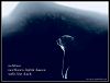 'solstice / northern lights dance / with the dark' by Debbie Strange. Haiku first published by Australian Haiku Society Dec 2017