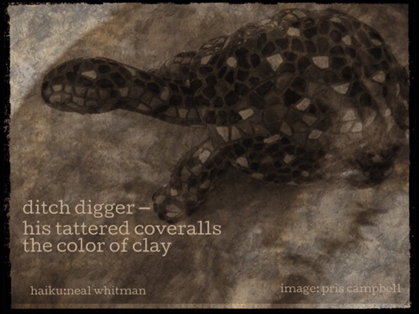 'ditch digger / his tattered coveralls / the color of clay' by Neal Whitman. Art by Pris Campbell.