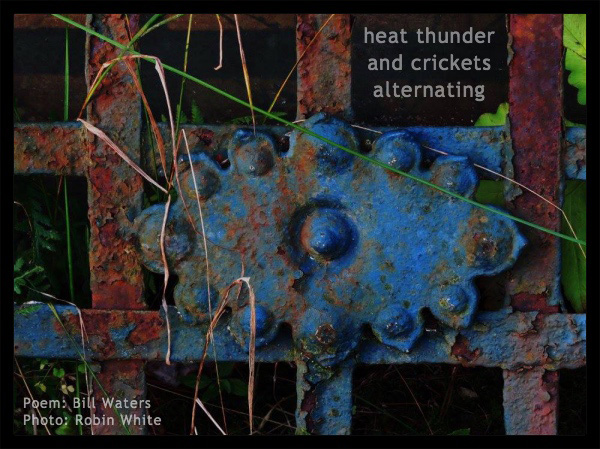 'heat thunder / and crickets / alternating' by Bill Waters. Art by Robin White.