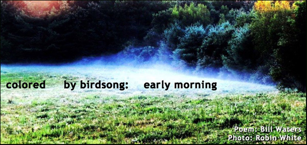 'colored by birdsong: early morning' by Bill Waters. Art by Robin White