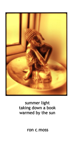 'summer light / taking down a book / warmed by the sun' by Ron Moss