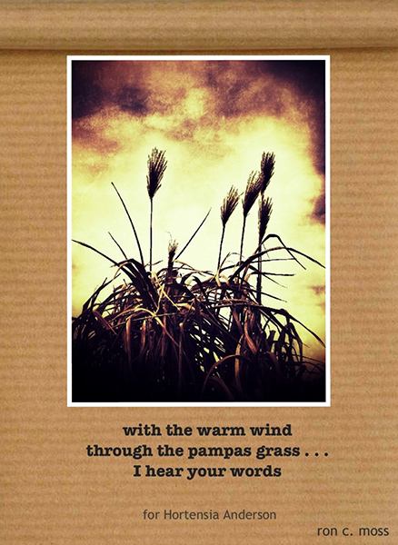 'with the warm wind / through the pampas grass... / I hear your words' by Ron Moss