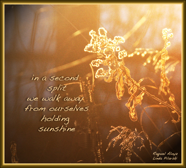 'in a second / split  / we walk away / from ourselves / holding  / sunshine' by Raquel Aloyz. Art by Linda Pilarski.