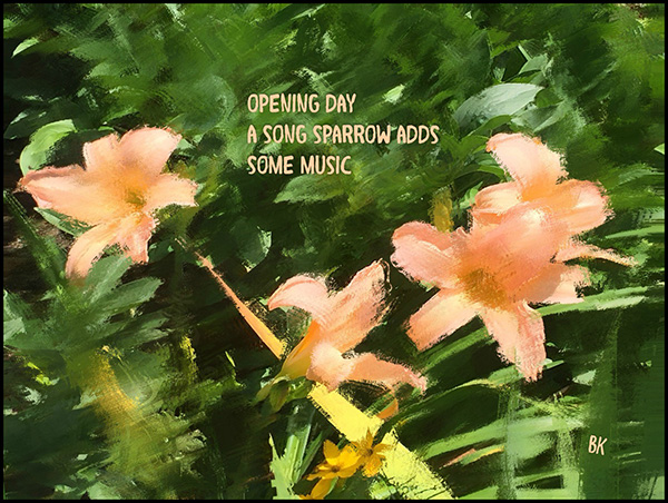 'opening day / a song sparrow adds / some music' by Barbara Kaufmann
