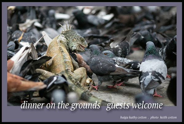 'dinner on the grounds   guests welcome' by Kathy Cotton