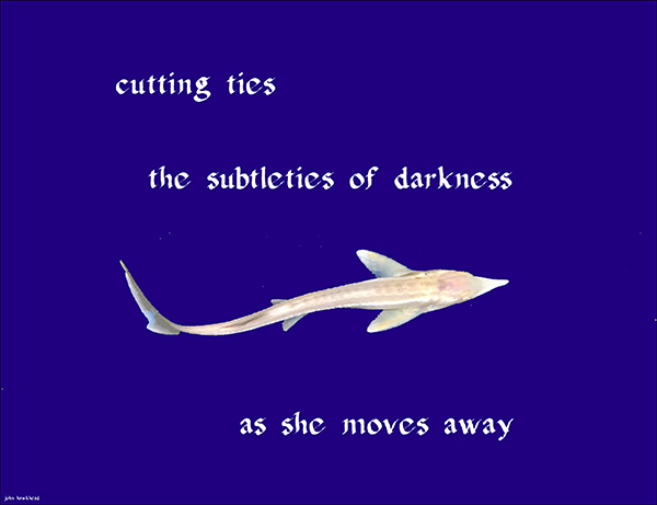 'cutting ties / the subtleties of darkness /  as she moves away' by John Hawkhead