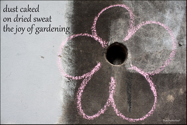 'dust caked / on dried sweat / the joy of gardening' by Dian Reed