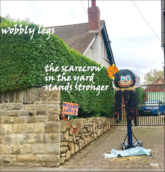 'wobbly legs / the scarecrow  / in the yard / stands stronger' by Mamta Madhavan
