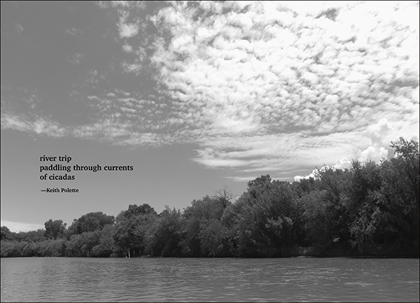 'river trip / paddling through currents / of cicadas' by Keith Polette