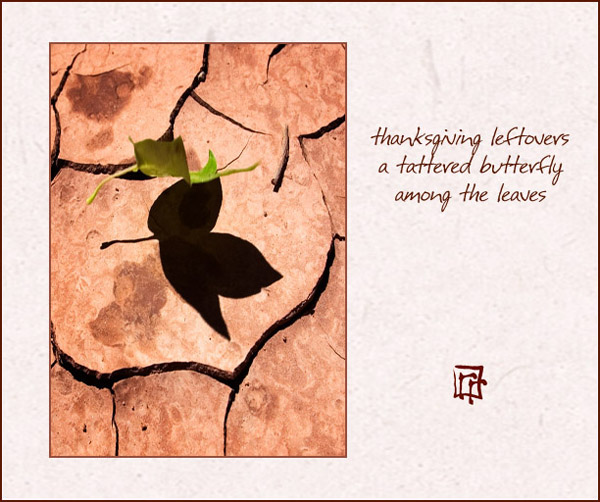 'thanksgiving leftovers / a tattered butterfly / among the leaves' by Ray Rasmussen
