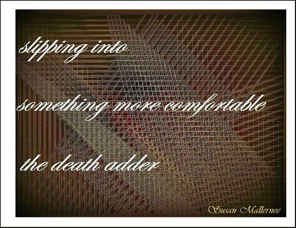 'slipping into / something more comfortable / the death adder' by Susan Mallernee