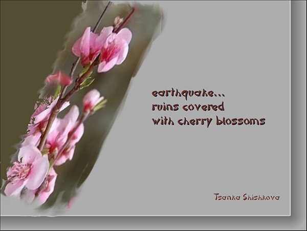 'earthquake... / ruins covered / with cherry blossoms' by Tsanka Shishkova