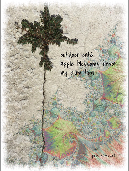 'outdoor cafe / apple blossoms flavor / my plum tea' by Pris Campbell