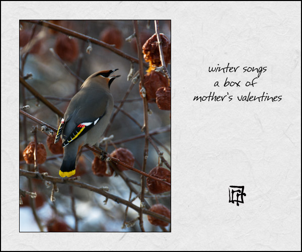 'winter songs /  a box of  / mother's valentines' by Ray Rasmussen