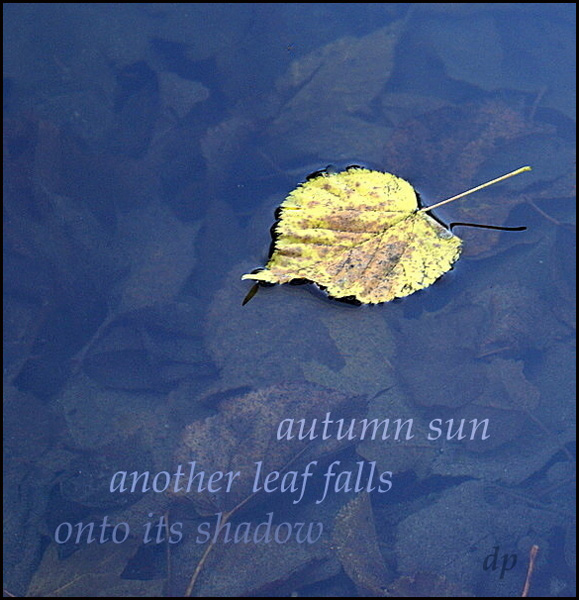 'autumn sun / another leaf falls / onto its shadow' by Dorota Pyra