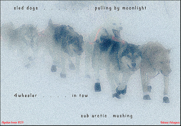 'sled dogs... / pulling by moonlight / 4wheeler in tow / sub arctic mushing' by Bukusai Ashagawa