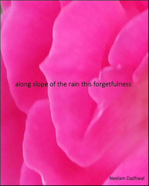'along the slope of rain this forgetfulness' by Neelam Dadwall