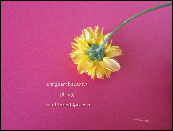'chrysanthemoon / filling / the chipped the cup' by Steliana Voicu