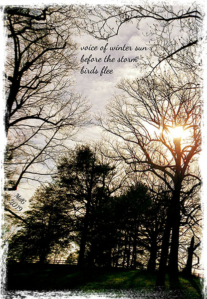 'voice of winter sun / before the storm / birds fle' by Mary Ellen Gambutti