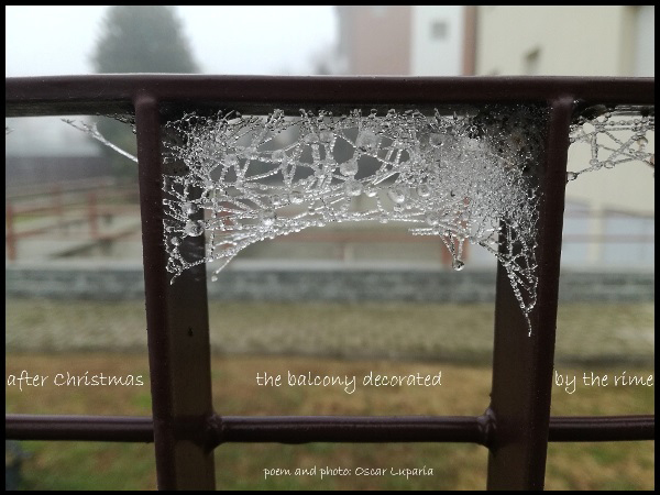 'after christmas / the balcony decorated / by the rime' by Oscar Luparia