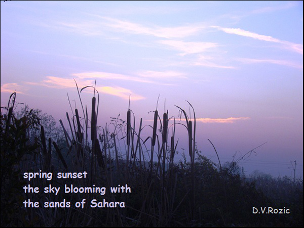 'spring sunset / the sky blooming with / the sands of the sahara' by DV Rozic