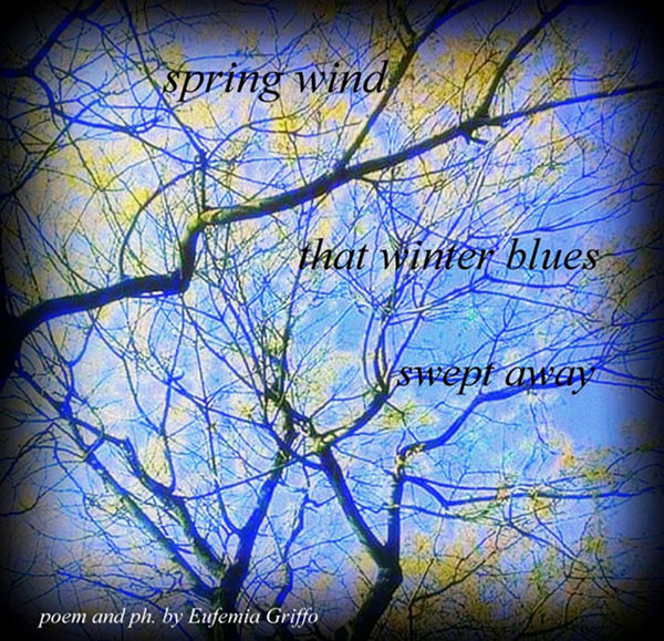 'spring thaw / that winter blues / swept away' by Eufemia Griffo