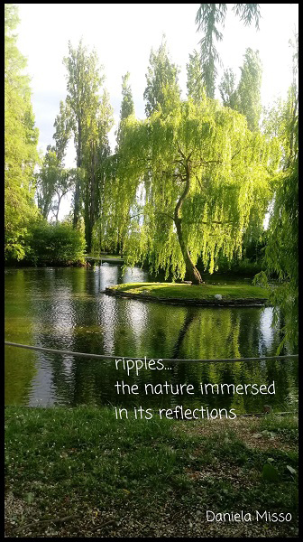 'ripples... / the nature immersed  / in its reflections' by Daniela Misso