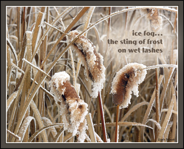 'ice fog... / the sting of frost / on wet lashes' by Linda Pilarski