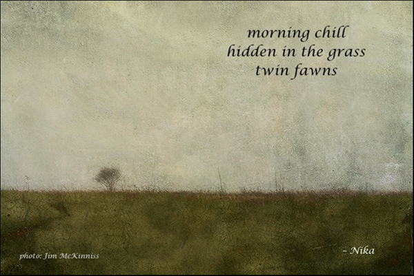 'morning chill / hidden in grass / two fawns' by Nika. Art by Jim McKinnis