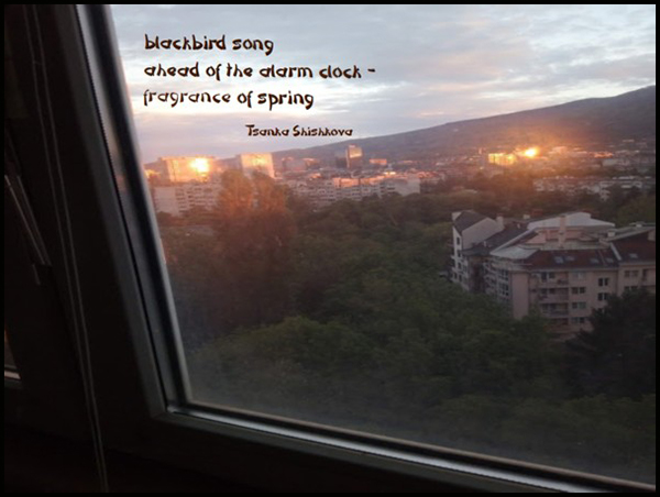 'blackbird song / ahead of the alarm clock— / fragrance of spring' by Tsanks Shishkova